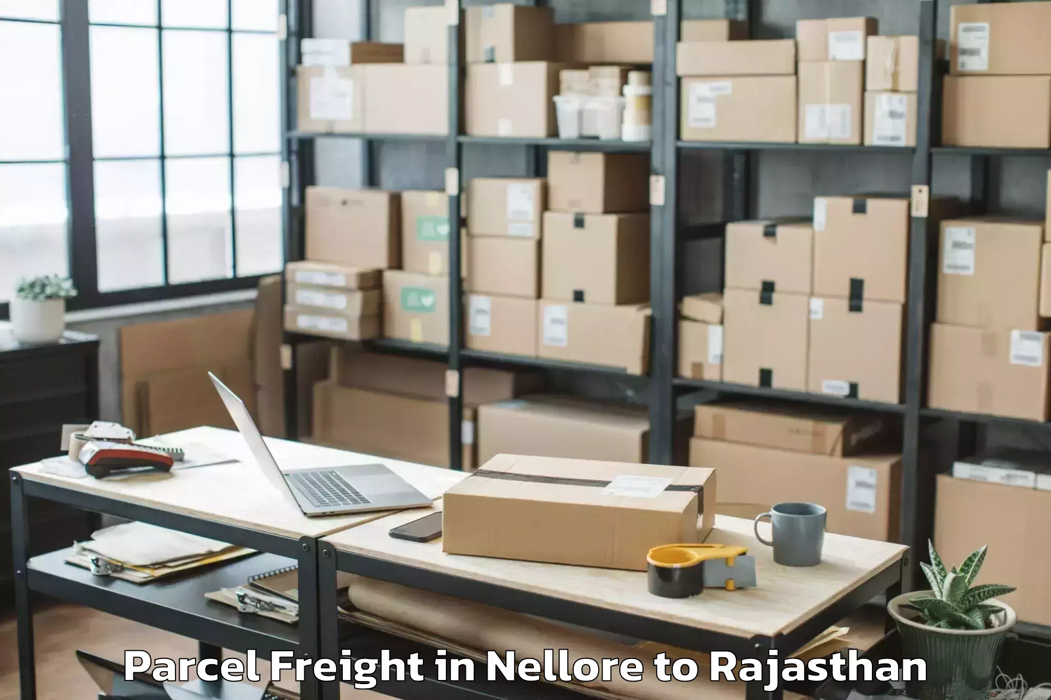 Easy Nellore to Jhadol Parcel Freight Booking